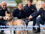 Veniva maltrattata dal padrone, Laica è stata salvata dalla Polizia