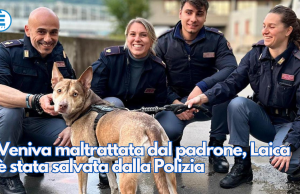 Veniva maltrattata dal padrone, Laica è stata salvata dalla Polizia