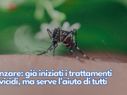 Zanzare: già iniziati i trattamenti larvicidi, ma serve l’aiuto di tutti