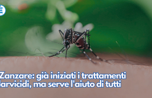 Zanzare: già iniziati i trattamenti larvicidi, ma serve l’aiuto di tutti