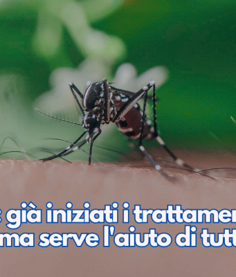 Zanzare: già iniziati i trattamenti larvicidi, ma serve l’aiuto di tutti