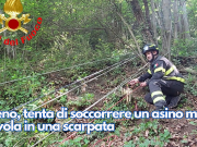 Breno, tenta di soccorrere un asino ma scivola in una scarpata