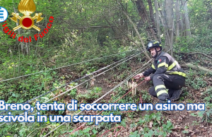 Breno, tenta di soccorrere un asino ma scivola in una scarpata