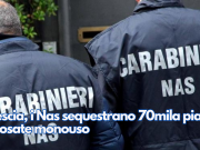 Brescia, i Nas sequestrano 70mila piatti e posate monouso