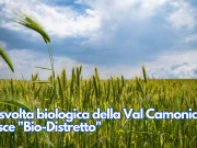 La svolta biologica della Val Camonica: nasce “Bio-Distretto”