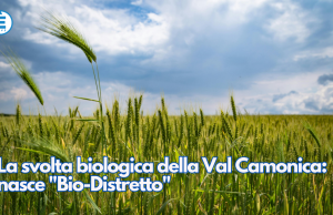 La svolta biologica della Val Camonica: nasce “Bio-Distretto”