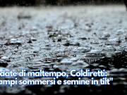 Ondate di maltempo, Coldiretti: “Campi sommersi e semine in tilt”