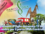 A Quinzano d’Oglio domenica 12 taglio del nastro per il parco DNA-Contratti