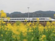 Cina: Dragon Boat Festival, ferrovie gestiranno 74 mln viaggi passeggeri