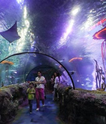 Cina: visita in un acquario a Shenyang per Giornata mondiale oceani