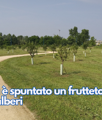 A Brescia è spuntato un frutteto urbano con 120 alberi