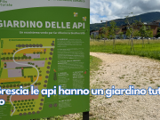 A Brescia le api hanno un giardino tutto loro