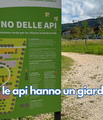 A Brescia le api hanno un giardino tutto loro