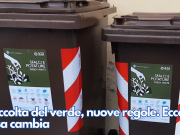 Raccolta del verde, nuove regole. Ecco cosa cambia