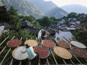 Cina: turismo rurale nella contea di Wuyuan del Jiangxi