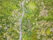 Cina: parco nazionale realizza trading pozzi carbonio di foresta pluviale