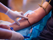 Carenza di sangue e plasma in estate. Avis lancia “Destinazione dono”