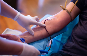 Carenza di sangue e plasma in estate. Avis lancia “Destinazione dono”