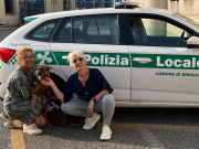 Cucciolo rubato al canile rifugio di Brescia è stato recuperato in Francia