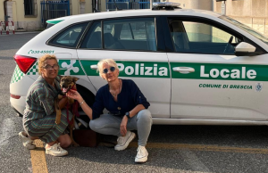 Cucciolo rubato al canile rifugio di Brescia è stato recuperato in Francia