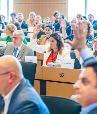 Le Commissioni dei due Europarlamentari bresciani