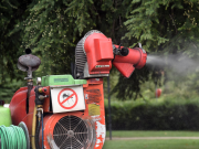 Nuovo caso di Dengue a Brescia. Disinfestazione al Primo Maggio