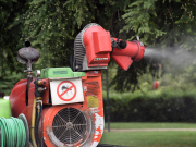 Sospetto Dengue in città, disinfestazione nella zona di via Bagni