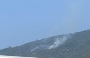 Incendio in Maddalena, è doloso. Bruciati quasi 4 ettari di bosco