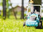 Raccolta del verde: il percorso non cambia, la tariffa sì