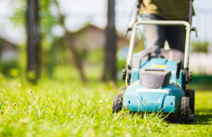 Raccolta del verde: il percorso non cambia, la tariffa sì