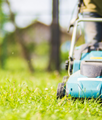 Raccolta del verde: il percorso non cambia, la tariffa sì
