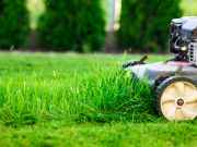 Tariffe del verde, centrodestra: “Castelletti scarica l’assessore Bianchi”