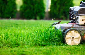 Tariffe del verde, centrodestra: “Castelletti scarica l’assessore Bianchi”