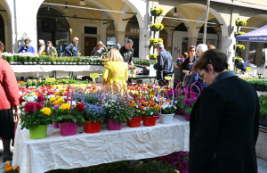 Una nuova location per il grande ritorno di Brixia Florum