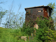 Caccia, apertura parziale da mercoledì 18 settembre