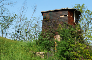 Caccia, apertura parziale da mercoledì 18 settembre
