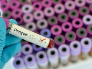 Cinque casi autoctoni di febbre dengue a Bornato