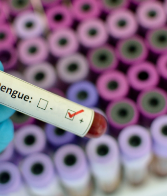 Cinque casi autoctoni di febbre dengue a Bornato