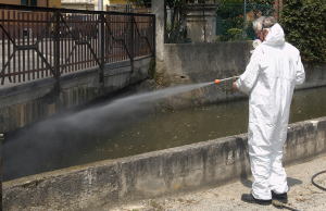 Dengue autoctono: disinfestazione a Ospitaletto, Monticelli e Gussago