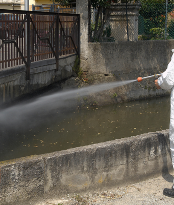 Dengue autoctono: disinfestazione a Ospitaletto, Monticelli e Gussago