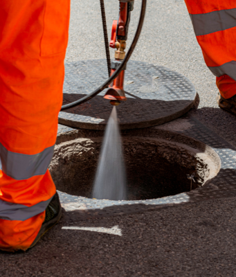Ennesimo caso di Dengue a Brescia: disinfestazione in due zone