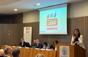 Autonomia Differenziata, Alfieri “Calderoli fa il contrario”