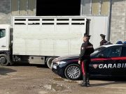 Forza il posto di blocco con il camion. Inseguimento in Franciacorta