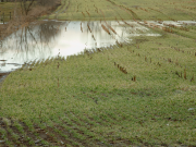 Maltempo, Coldiretti: “L’agricoltura lombarda è paralizzata”