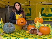 Il tutorial per intagliare una zucca di Halloween da paura