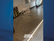 Lancia il carrello nella metro di Brescia2. Indagini in corso