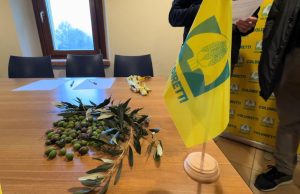 Olio bresciano: altra annata complessa per un settore d’eccellenza