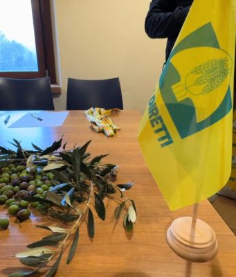 Olio bresciano: altra annata complessa per un settore d’eccellenza