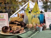 Ridurre il consumo di junk food nei giovani. Le proposte di Coldiretti