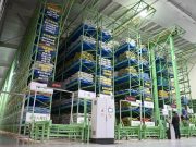 Cina: compie progressi in industria delle sementi